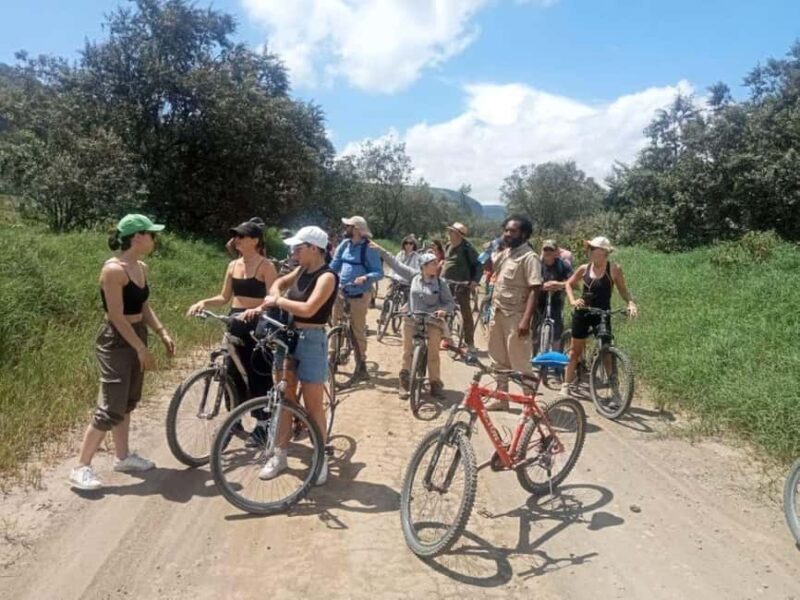 Nairobi:Group Hell's Gate National Park & Lake Naivasha Tour - Authentic Insights from Reviewers