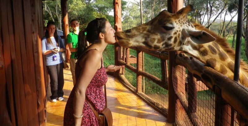 Nairobi:National Park,Elephant Orphanage&Giraffe Center Tour - In-Depth Look at Each Stop  