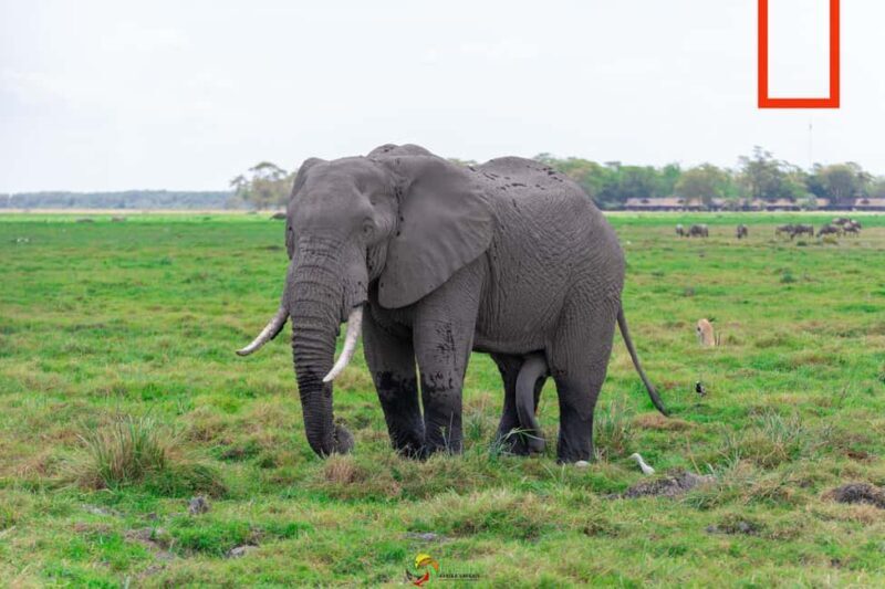 Naivasha: Lake Naivasha & Hells Gate National Park - Key Points  