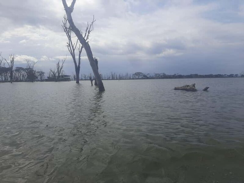 Naivasha: Lake Naivasha & Hells Gate National Park - Why This Tour Stands Out  