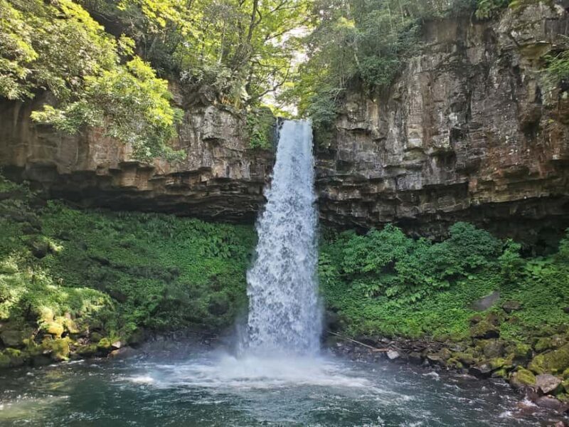 Naka-Izu:2Days Gourmet Journey Wasabi, Wine, Tea, Glamping - Introduction: A Taste of Japan’s Gourmet and Scenic Delights