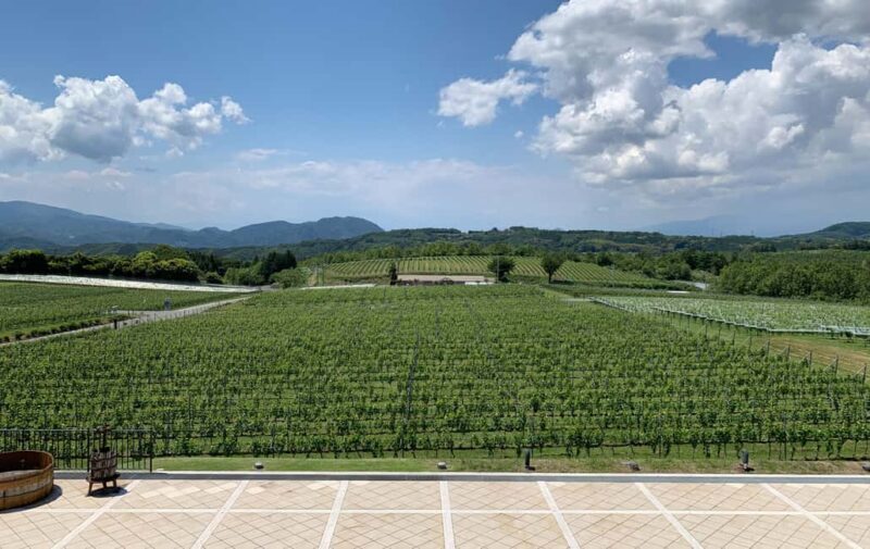 Naka-Izu:2Days Gourmet Journey Wasabi, Wine, Tea, Glamping - What Does This Tour Offer in Value?