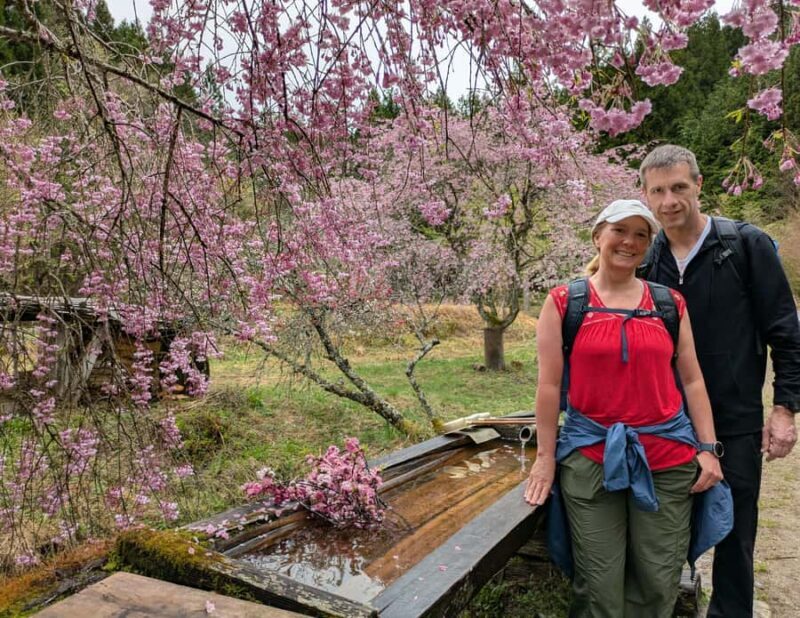 Nakasendo Magome Private Hiking TourGuide & Car from Nagoya - An In-Depth Look at the Nakasendo Magome Private Hiking Tour from Nagoya