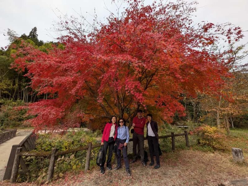 Nakasendo Magome Private Hiking TourGuide & Car from Nagoya - Key Points