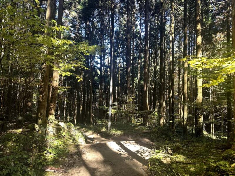 Nakasendo Samurai Road Hiking tour from Nagoya - What Is the Nakasendo Samurai Road Hiking Tour from Nagoya?