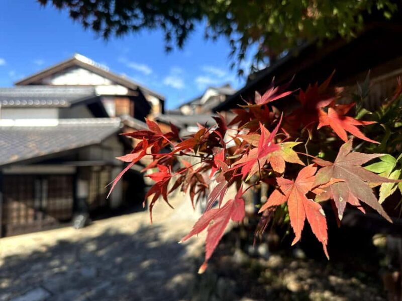 Nakasendo Samurai Road Hiking tour from Nagoya - Practical Details and What to Prepare