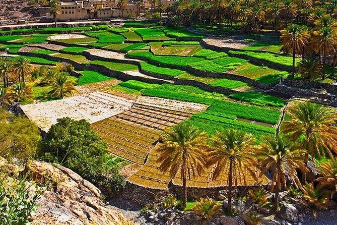 Nakhal Fort-Nakhal Hotspring-Wadi Bani Awf-Bilad Sayt - Private Full Day Tour - FAQ
