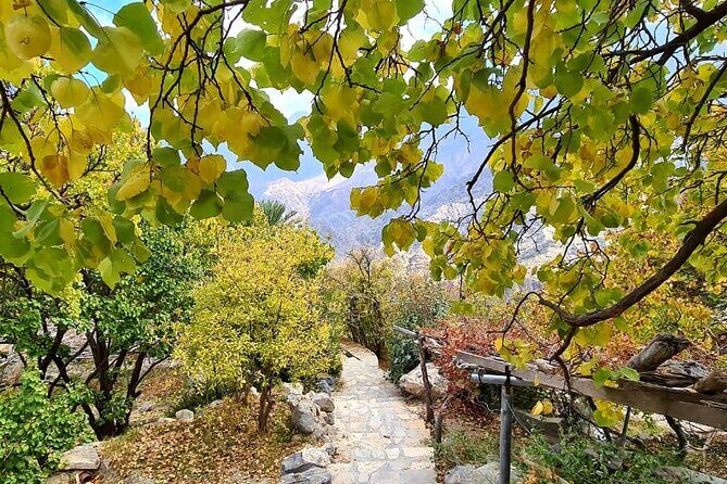 Nakhal Hotspring and Wakan Village Private Full Day Tour - FAQ: Common Questions About the Tour