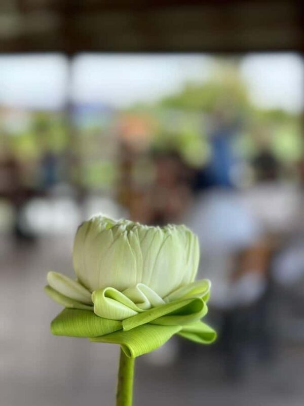 Nakhon Pathom: Lotus Pond Boat Ride and Temple Tour - Key Points