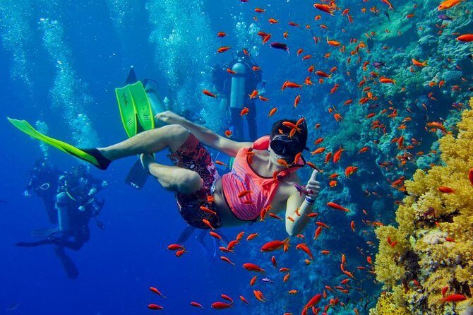 Nakupenda Island Snorkeling Sea trip & Lunch W/Transfer -Zanzibar - The Sum Up