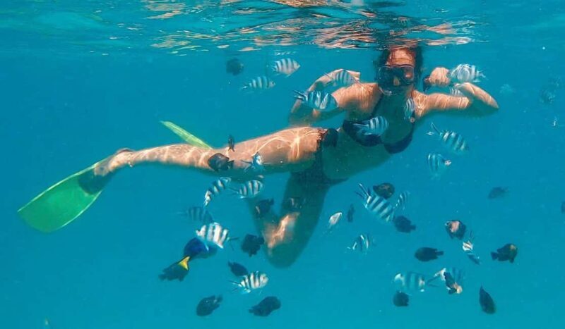 NAKUPENDA SANDBANK BEACH AND SNORKELING - The Itinerary: A Detailed Breakdown