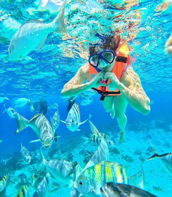 NAKUPENDA SANDBANK BEACH AND SNORKELING - Final Thoughts