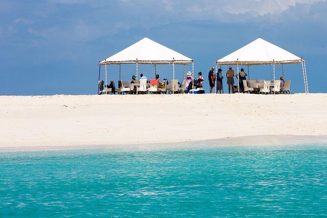 Nakupenda Sandbank Picnic - An In-Depth Look at the Nakupenda Sandbank Picnic & Prison Island Tour
