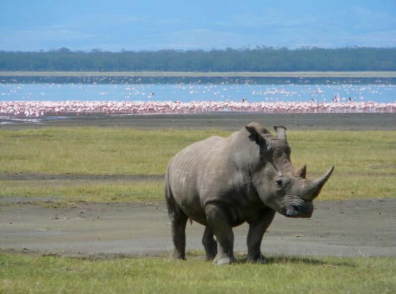 nakuru:private guided tour - Comprehensive Review of the Nakuru Private Guided Tour