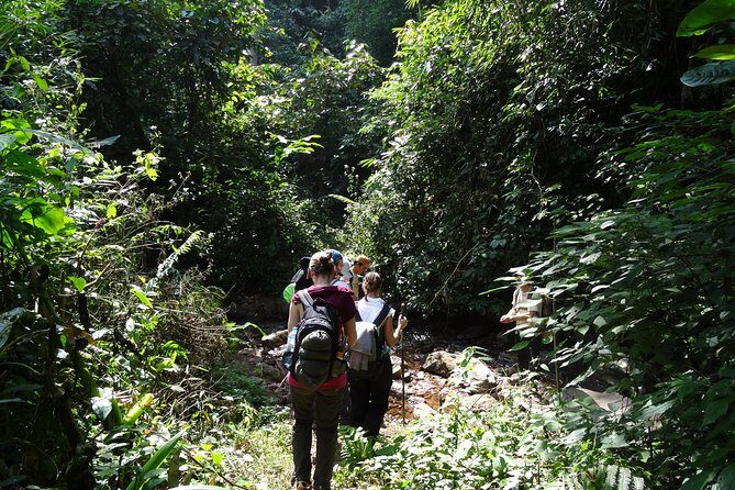Nalan Trail Kmu Ethnic Experience - 2days forest trek with homestay. - Final Thoughts  