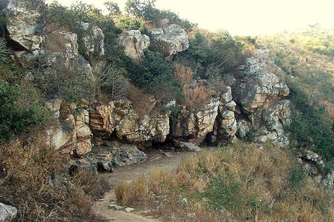 Nalanda Rajgir and Bodh Gaya from Patna - Practical Details and What Makes this Tour Stand Out