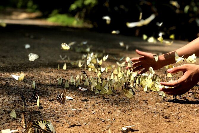 Nam Cat Tien National Park 2 Days 1 Night - Private Tour - FAQ