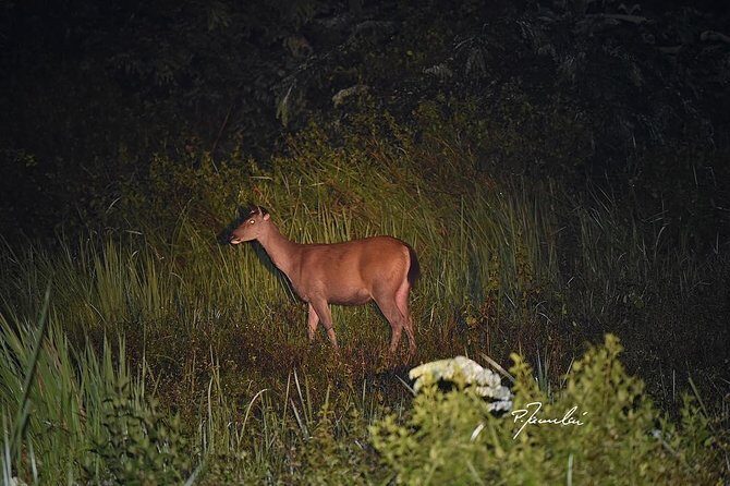 Nam Cat Tien National Park 2 Days 1 Night Tour - Who Would Love This Tour?