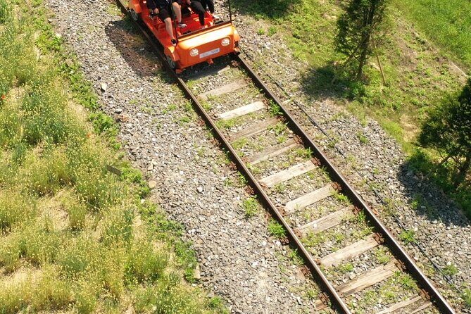 Nami, Alpaca, Petite France, Morning Calm Begonia One Day Tour - Nami Island: The Romantic Heart of the Day
