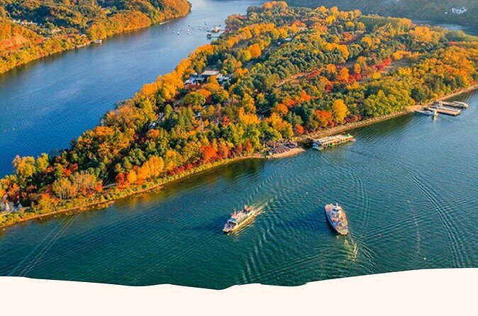 Nami, Alpaca, Petite France, Morning Calm Begonia One Day Tour - Italia Village Pinocchio & Da Vinci: A Touch of Italian Flair