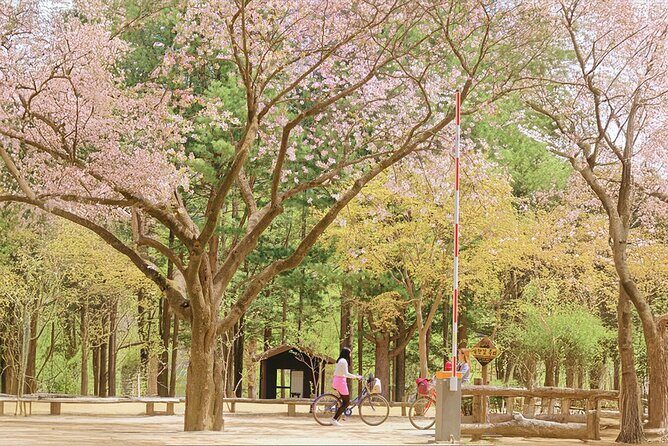 Nami island and Hanbok Wearing and Waterfall from Seoul - The Value of This Tour