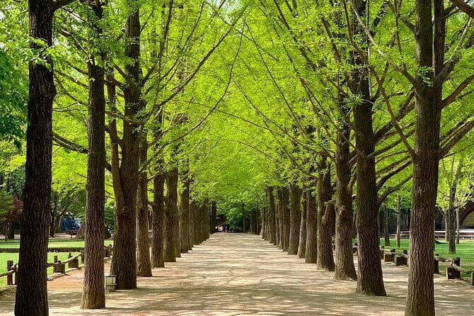 Nami Island and Petite France Private Tour - A Closer Look at the Itinerary