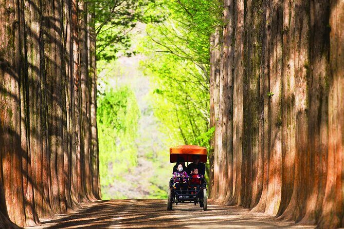 Nami Island and Rail Bike Day Trip from Seoul - Key Points