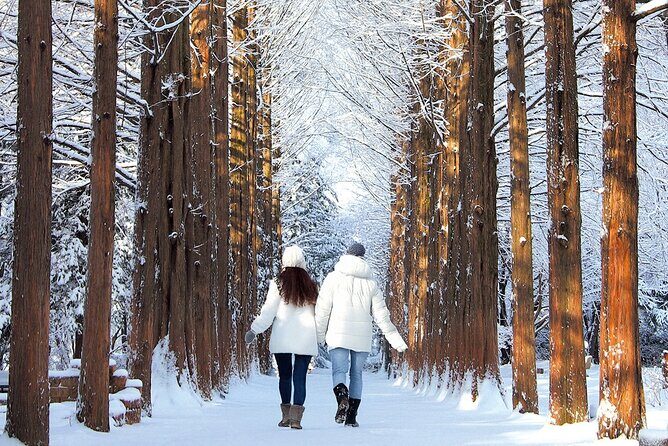 Nami Island, Apple Picking & Autumn Light Festival - FAQs