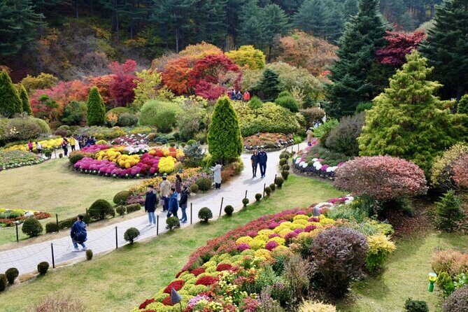 Nami Island , Elysian Ski and Morning Calm Garden Experience - An In-Depth Look at the Tour