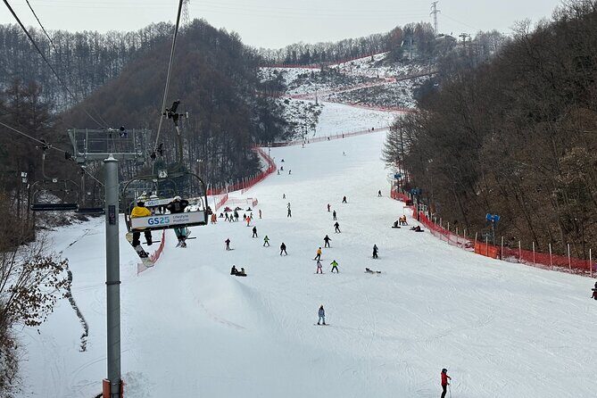 Nami Island , Elysian Ski and Morning Calm Garden Experience - FAQ