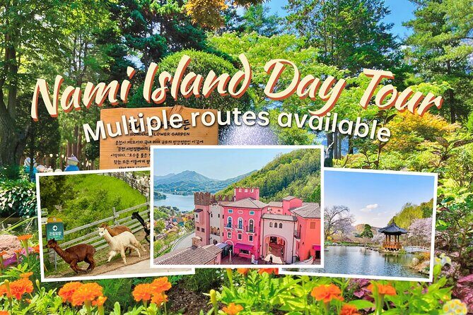 Nami Island from Seoul One Day Trip - Nami Island from Seoul One Day Trip: A Practical Review