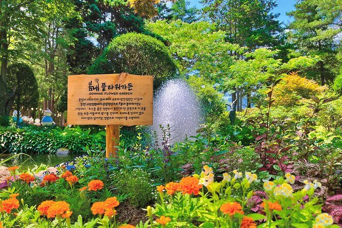 Nami Island from Seoul One Day Trip - Key Points