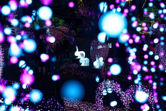 Nami Island, Morning Calm, Rail bike & Autumn Light Festival - FAQs