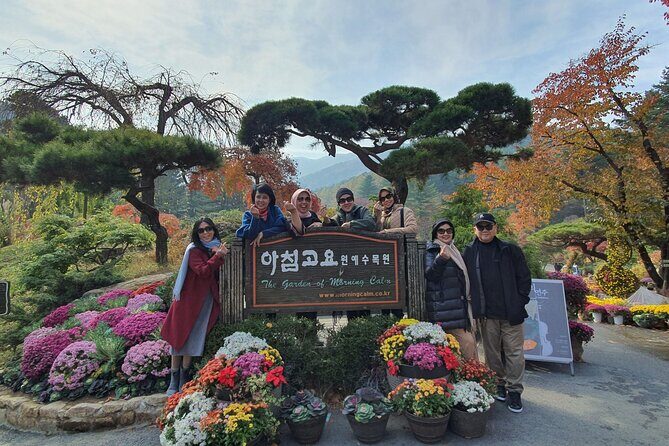 Nami Island & Nearby Attractions : Charter Van Tour With Driver - Who Should Book This Tour?
