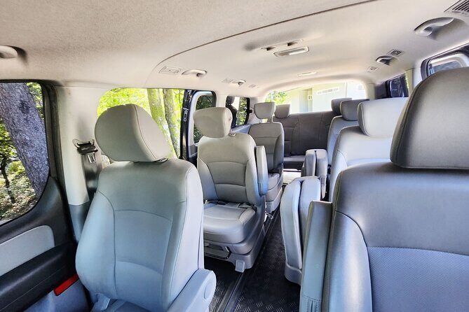 Nami Island & Nearby Attractions : Charter Van Tour With Driver - Final Thoughts