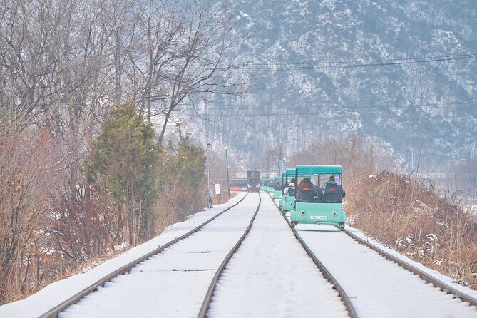 Nami Island One Day Trip with Gangchon Rail Bike from Seoul - Final Thoughts