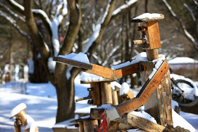 Nami Island Private Photo Tour with options - FAQ