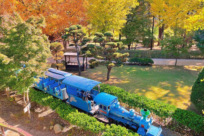 Nami Island, Rail bike & The Alpaca Garden - An Honest Breakdown of the Itinerary