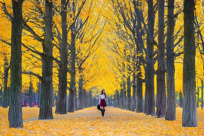 Nami Island, Rail bike & The Alpaca Garden - Frequently Asked Questions (FAQs)