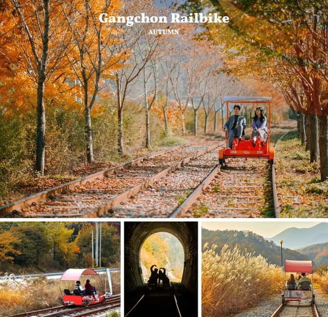 Nami Island, Railbike & Alpaca Garden Day Trip from Seoul - An All-in-One Autumn Escape Near Seoul