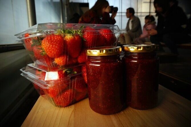 Nami Island & Strawberry Picking and Jam Making & Railbike - Who Should Consider This Tour?