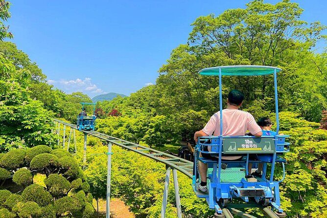 Nami Island with The Garden of Morning Calm Rail Bike from Seoul - Key Points