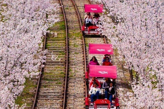 Nami, Petite France, Italian Village and Gangchon Rail Bike Tour - FAQ