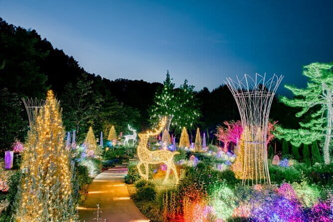 Nami & Petite France & Morning calm & Garden Light Festival - Key Points