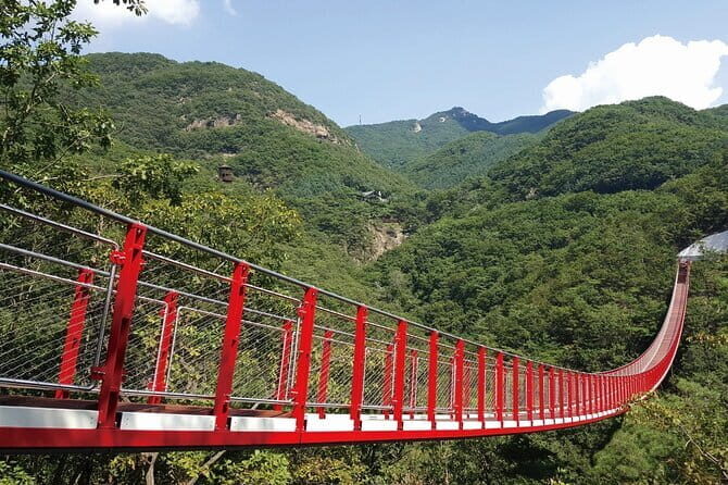 Nami & Petite France & Morning calm & Garden Light Festival - Who Should Consider This Tour?