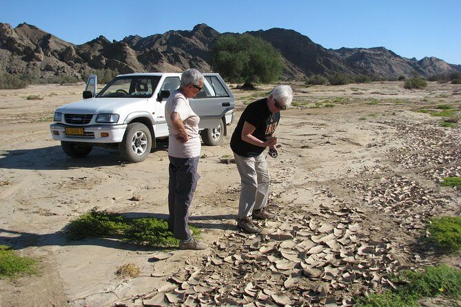 NAMIB DESERT TOURS, Full-Day and Half-Day Tours from Swakopmund, Namibia - FAQs