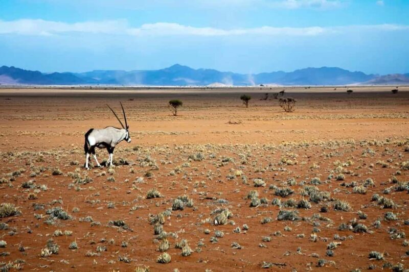 Namib-Naukluft park: Transport and tour to Naukluft park - Key Points