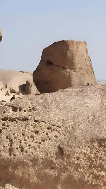 Namib Naukluft Park Trip - An In-Depth Look at the Namib Naukluft Park Trip
