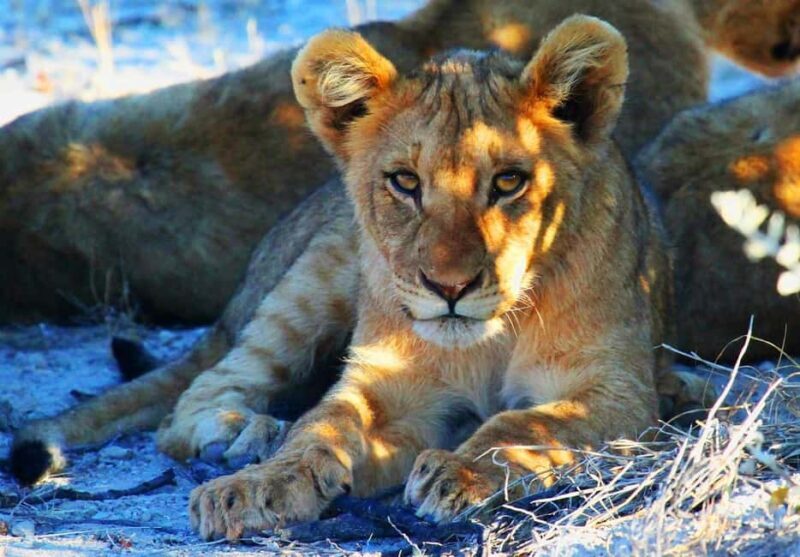 Namibia: 10-Days - Exploring Namibia in 10 Days: An Honest Breakdown