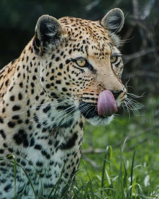 Namibia: 10-Days - Practical Considerations